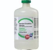 Ingelvac CircoFlex Porcine Circovirus Swine Vaccine,<br> Killed Baculovirus Vector, 500mL <br> Boehringer Ingelheim 131167