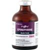 Pivetal Epinephrine Injection <br> 1 mg/ml, 50 ml<br> Pivetal 21298003