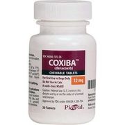 Pivetal Coxiba (deracoxib) <br> Chewable Tablets 12 mg, 30/Bottle <br> Pivetal 21306859