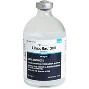 LincoBac 300 (Lincomycin) Injection,<br>  Swine Antibiotic, 100mL <br> Vetone 4636-04