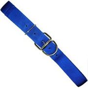 48in Cow and Bull Neck Strap <br>  Blue , each <br> Coburn DCC48-06