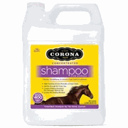 Corona Concentrated Shampoo<br> Size 3L , each <br> Compana 044-1000125