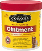 Corona Antiseptic Multi-Purpose <br> Ointment Jar , 14 oz <br> Compana 044-1000140