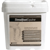 Steadfast Equine Joint Supplement <br> for Horses � 3.3 lb, 1/Pkg <br> CREATIVE SCIENCE AB000
