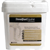 Steadfast Equine Performance Supplements <br>  3.3 lb, 1/Pkg<br> CREATIVE SCIENCE AB016