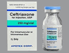 Ceftriaxone Sodium Injection <br> 250mg/vl Powder SDV , 25/Pack <br> Apotex 60505615104