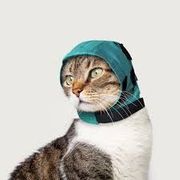 No Flap Ear Wrap for Cats, Green,<br>  Small, 3.5" - 5.5" / 7" - 10"<br> Vetone 660032