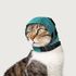 No Flap Ear Wrap for Cats, Green,<br>  Small, 3.5" - 5.5" / 7" - 10"<br> Vetone 660032