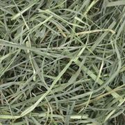 Orchard Grass Hay <br> 25 lb , Each <br> OXBOW 101-104-2500