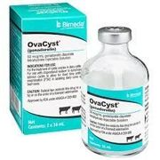 OvaCyst (Gonadorelin) <br> Injectable Solution 50mcg/mL, 36mL <br> Bimeda 1OVA008