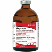 Oxytocin Injection, <br>Purified Oxytocic Principle, <br>Sterile Aqueous Solution, 100mL <br> Bimeda 1OXY015