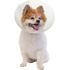 Pivetal Baxter Clear Elizabethan Collars <br> 10 cm , each <br> Pivetal 21294638