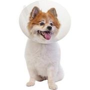 Pivetal Baxter Clear Elizabethan Collars <br> 10 cm , each <br> Pivetal 21294638