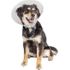 Pivetal Baxter Clear Elizabethan Collars <br> 15 cm , each <br> Pivetal 21294640