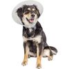 Pivetal Baxter Clear Elizabethan Collars <br> 15 cm , each <br> Pivetal 21294640
