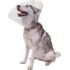 Pivetal Baxter Clear Elizabethan Collars <br> 30 cm , each <br> Pivetal 21294643