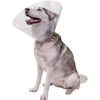 Pivetal Baxter Clear Elizabethan Collars <br> 30 cm , each <br> Pivetal 21294643