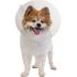 Pivetal Baxter Clear Elizabethan Collars <br> 7.5 cm , Each <br> Pivetal 21294637