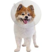 Pivetal Baxter Clear Elizabethan Collars <br> 7.5 cm , Each <br> Pivetal 21294637