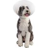 Pivetal Baxter Elizabethan Collar 25 cm<br>  PIVETAL 21294634