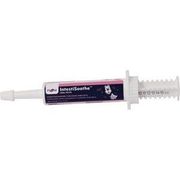 Pivetal IntestiSoothe Oral Paste <br> 15 cc , Each <br> Pivetal 78952440