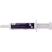 Pivetal IntestiSoothe Oral Paste <br> 30 cc , Each <br> Pivetal 78952442