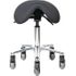 Pivetal Labrador Stool Carbon Stool<br>Pivetal 78951501