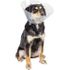 Pivetal Lock Rite Elizabethan Collar <br> 25 cm , each <br> Pivetal 21294667