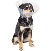 Pivetal Lock Rite Elizabethan Collar <br> 25 cm , each <br> Pivetal 21294667