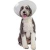 Pivetal Lock Rite Elizabethan Collar <br> 40 cm , Each <br> Pivetal 21294669 Pivetal Lock Rite Elizabethan Collar <br> 40 cm , Each <br> Pivetal 21294669