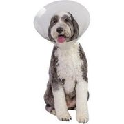 Pivetal Lock Rite Elizabethan Collar <br> 7.5 cm<br> Pivetal 21294662