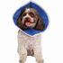 Pivetal Recovery II Collars 4"<br> Pivetal 21294488