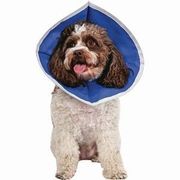 Pivetal Recovery II Collars 4"<br> Pivetal 21294488