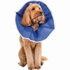 Pivetal Recovery II Collars 8" <br> Pivetal 21294501