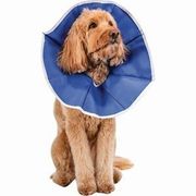 Pivetal Recovery II Collars 8" <br> Pivetal 21294501