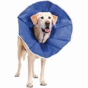 Pivetal Recovery II Collars 9-1/2" <br> Pivetal 21294502