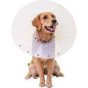 Pivetal Snap Guard Elizabethan Collar<br>  36 cm , each <br> PIVETAL 21294692