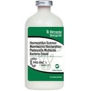 Pro-Bac 4 with Reveal ATS Cattle Vaccine, <br> 100mL (50 Dose)<br> Bimeda 1PB4050