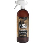 Sore No-More Performance <br> Ultra Liniment � 1/Pkg , 32 oz <br> CREATIVE SCIENCE  AF002