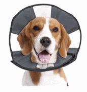 ZenCone Soft Recovery Collar<br>  Medium (12-15"), Each <br> CS Tech 5919