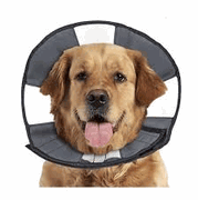 ZenCone Soft Recovery Collar <br>  X-Large (18-23") , Each <br> CS Tech  5924