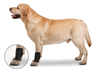 ZenPet OrthoWrap Ligament <br> Medium , Latex Free , 12/Case <br> CS Tech 5957
