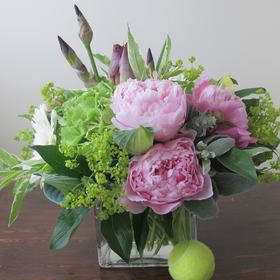 Peony Flowers out of stock