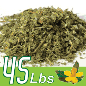 Damiana Premium c/s 45 lbs