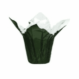 Speed Covers, Floral Speed Covers, Highlander Speed Covers, Foil Speed  Covers