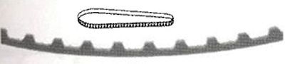 Motor Belt