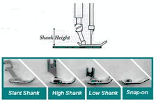 Shank Schematic