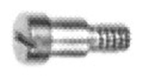 Outside Walking Foot Screw 200074