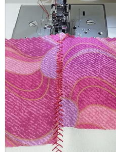 Stitch in the Ditch Foot (Special Purchase)