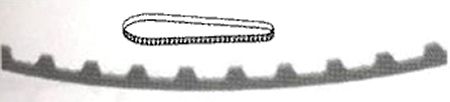 Timing Belt